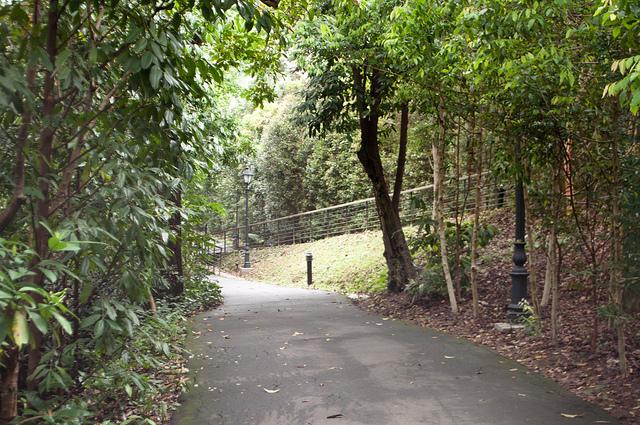 Primer día en Singapur Botanic Garden