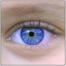 LO QUE EL OJO SI VE LO QUE EL OJO SI VE