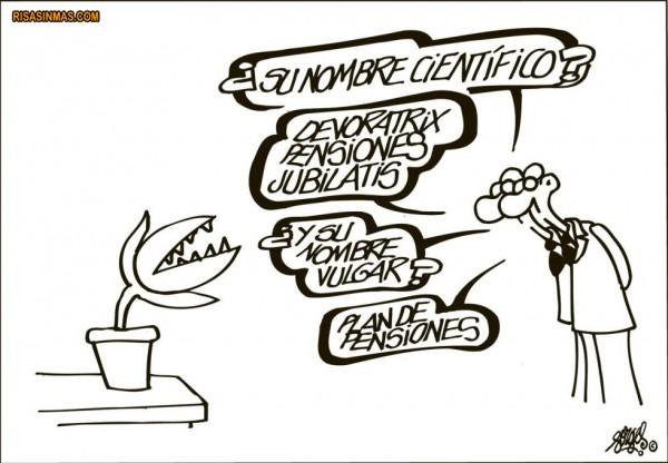 plan-de-pensiones-forges