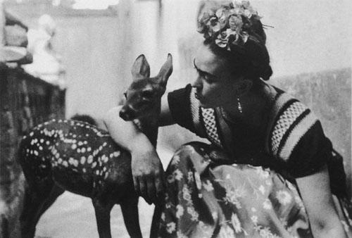 Modalterna. Edición Especial. Miradas de Frida Kahlo