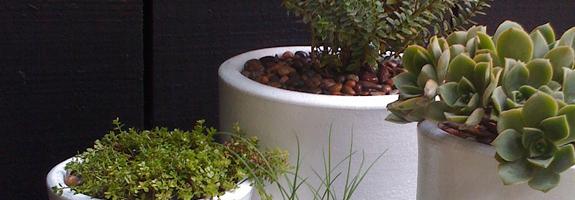 © Tmoltalva Aromas en el hogar, decorar con olores