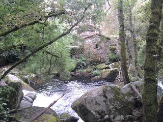 Manoliño, as súas vaquiñas e a súa nova veciña chamada crisis Manoliño, as súas vaquiñas e a súa nova veciña chamada crisis
