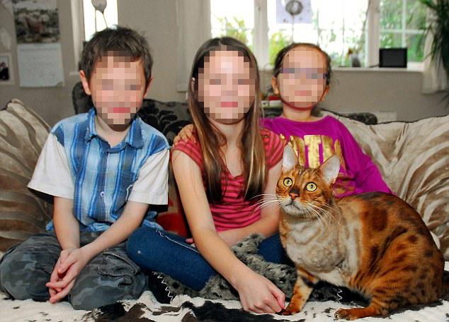 Un gato sobrevive tras caer desde 21 metros y estar una semana sin asistencia.. Un gato sobrevive tras caer desde 21 metros y estar una semana sin asistencia..