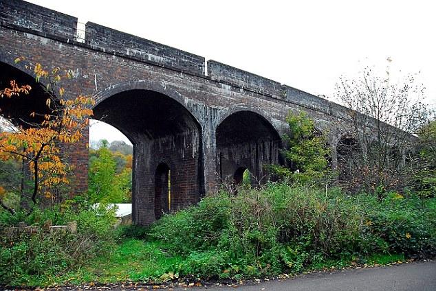 Un gato sobrevive tras caer desde 21 metros y estar una semana sin asistencia.. Un gato sobrevive tras caer desde 21 metros y estar una semana sin asistencia..