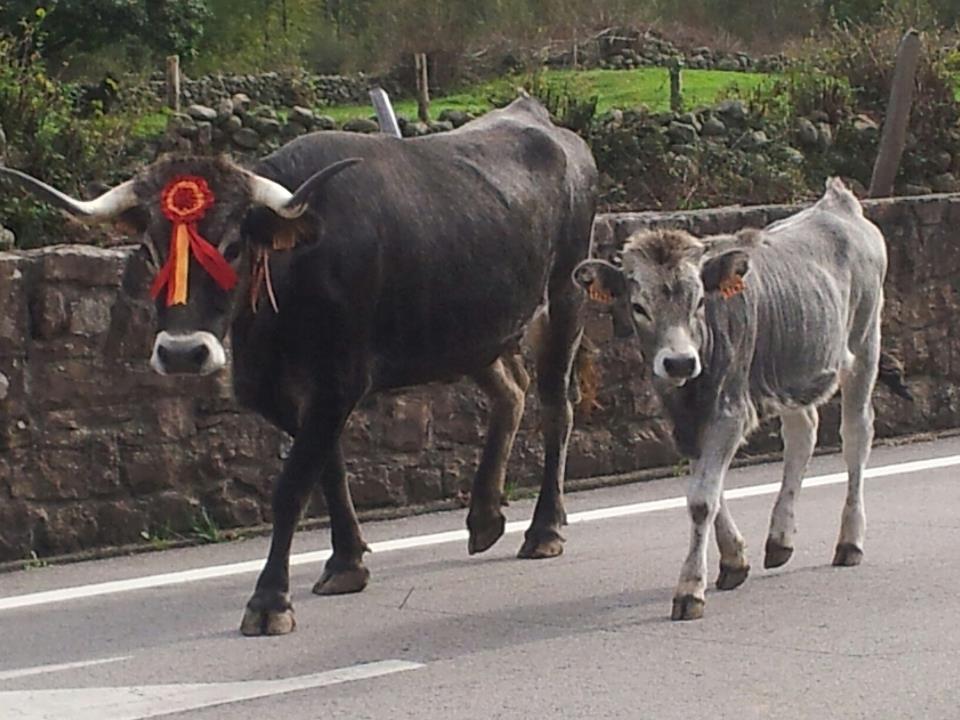 En mi tierra hay tradiciones... En mi tierra hay tradiciones...