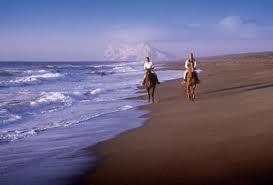 ¡¡Montar a caballo por la playa!! ¡¡Montar a caballo por la playa!!