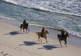 ¡¡Montar a caballo por la playa!! ¡¡Montar a caballo por la playa!!
