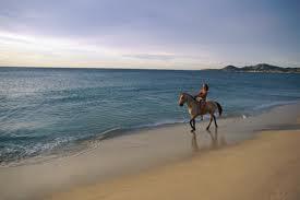 ¡¡Montar a caballo por la playa!! ¡¡Montar a caballo por la playa!!