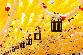 ¡¡Fiesta de las Flores de Papel!! ¡¡Fiesta de las Flores de Papel!!