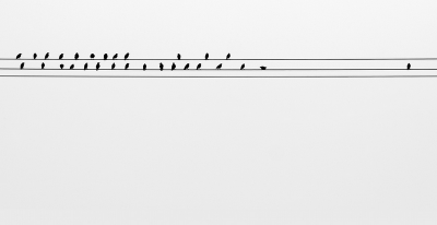 Resumen entre codazos: una semana de blogs sanitarios Resumen entre codazos: una semana de blogs sanitarios