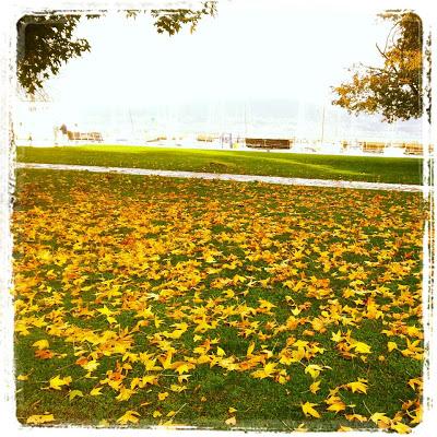 Quinto cumpleaños Quinto cumpleaños