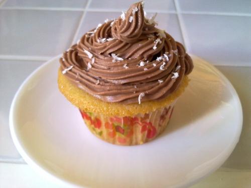 Cupcakes en horno solar con crema de nutella