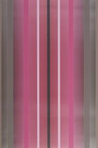 ¡Pared, papel y tijera! ¡Pared, papel y tijera!