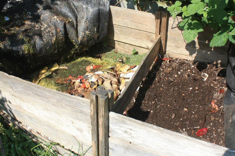 compost compost 5 Consejos para Hacer Compost Rápido