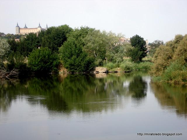 Producidor del gran tesoro Producidor del gran tesoro