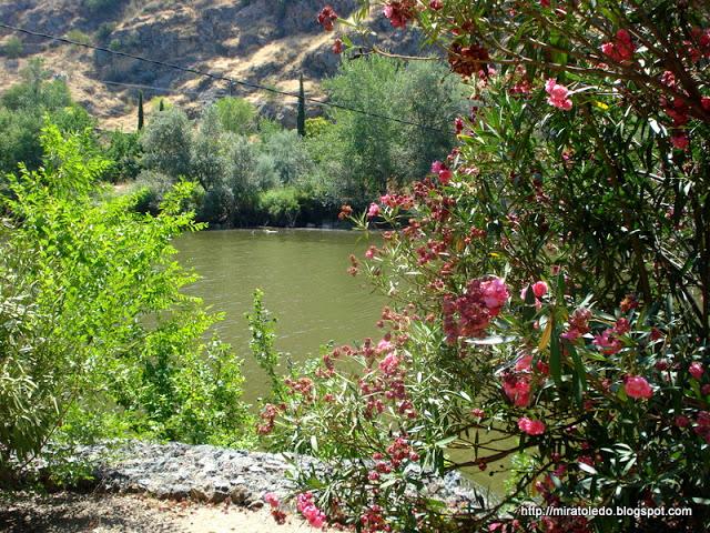 Producidor del gran tesoro Producidor del gran tesoro