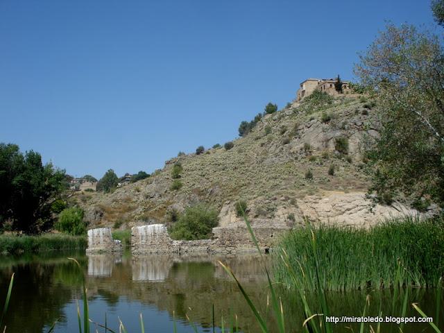 Producidor del gran tesoro Producidor del gran tesoro