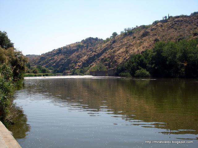 Producidor del gran tesoro Producidor del gran tesoro