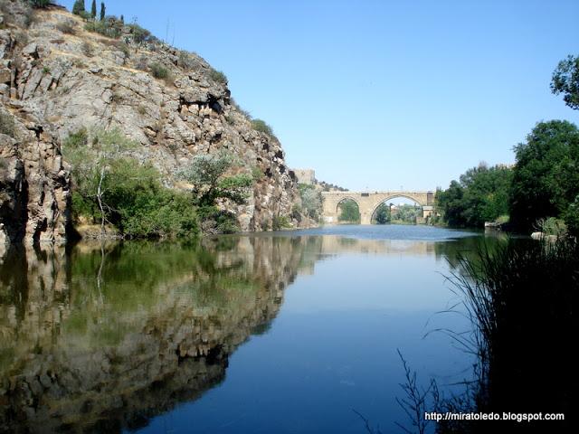 Producidor del gran tesoro Producidor del gran tesoro