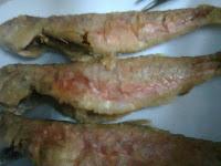 El churrasco en Torrenueva Motril El churrasco en Torrenueva Motril