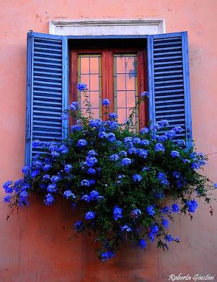 Ventanas Rusticas