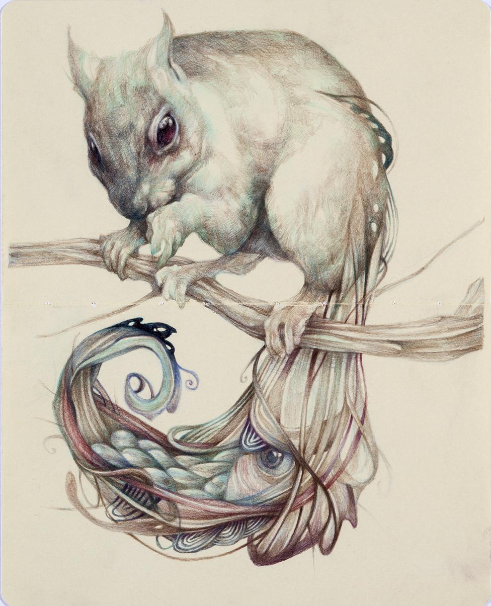 Marco Mazzoni – Dibujos (II)