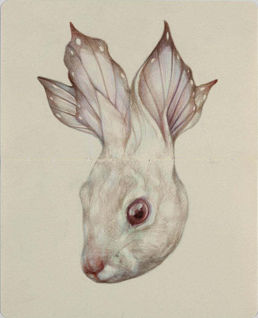 Marco Mazzoni – Dibujos (II)