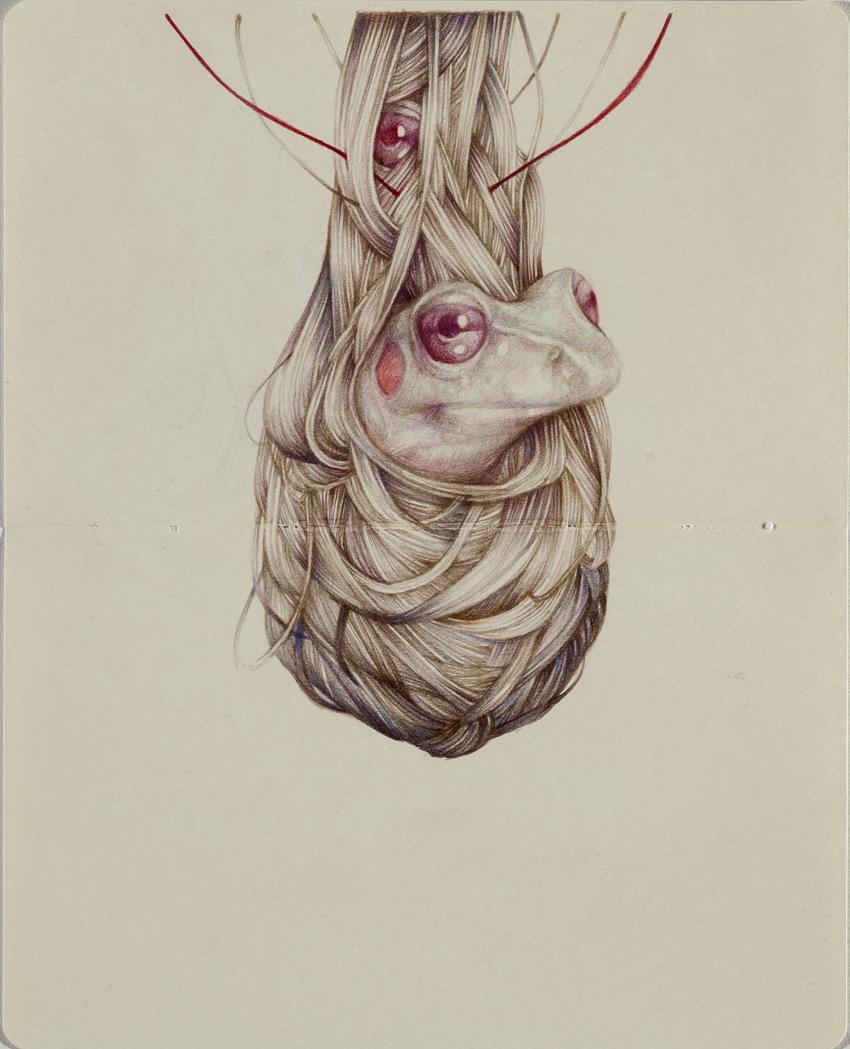 Marco Mazzoni – Dibujos (II)