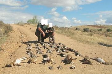 Caza Educativa cadaveres caza