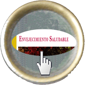 Videos Geroblogs Envejecer en positivo