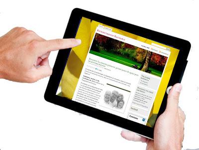 Envejecer en positivo Envejecer en positivo