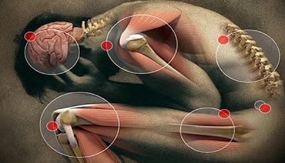 Esencias para dolores y espasmos Esencias que calman dolores