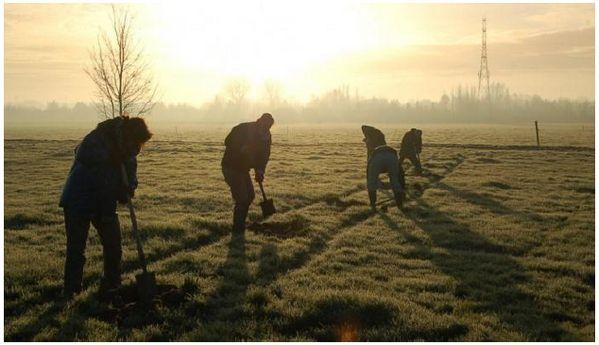 tree-nation Nuevo proyecto comunitario de la red social internacional Tree Nation