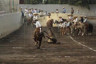 Jesús Aceves, seis veces campeón del Capacha de Charro Completo Jesús Aceves, seis veces campeón del Capacha de Charro Completo