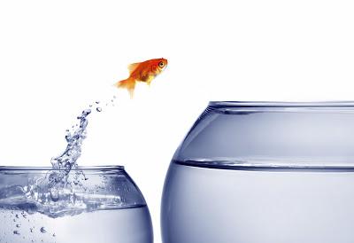 Haciendo preguntas Haciendo preguntas