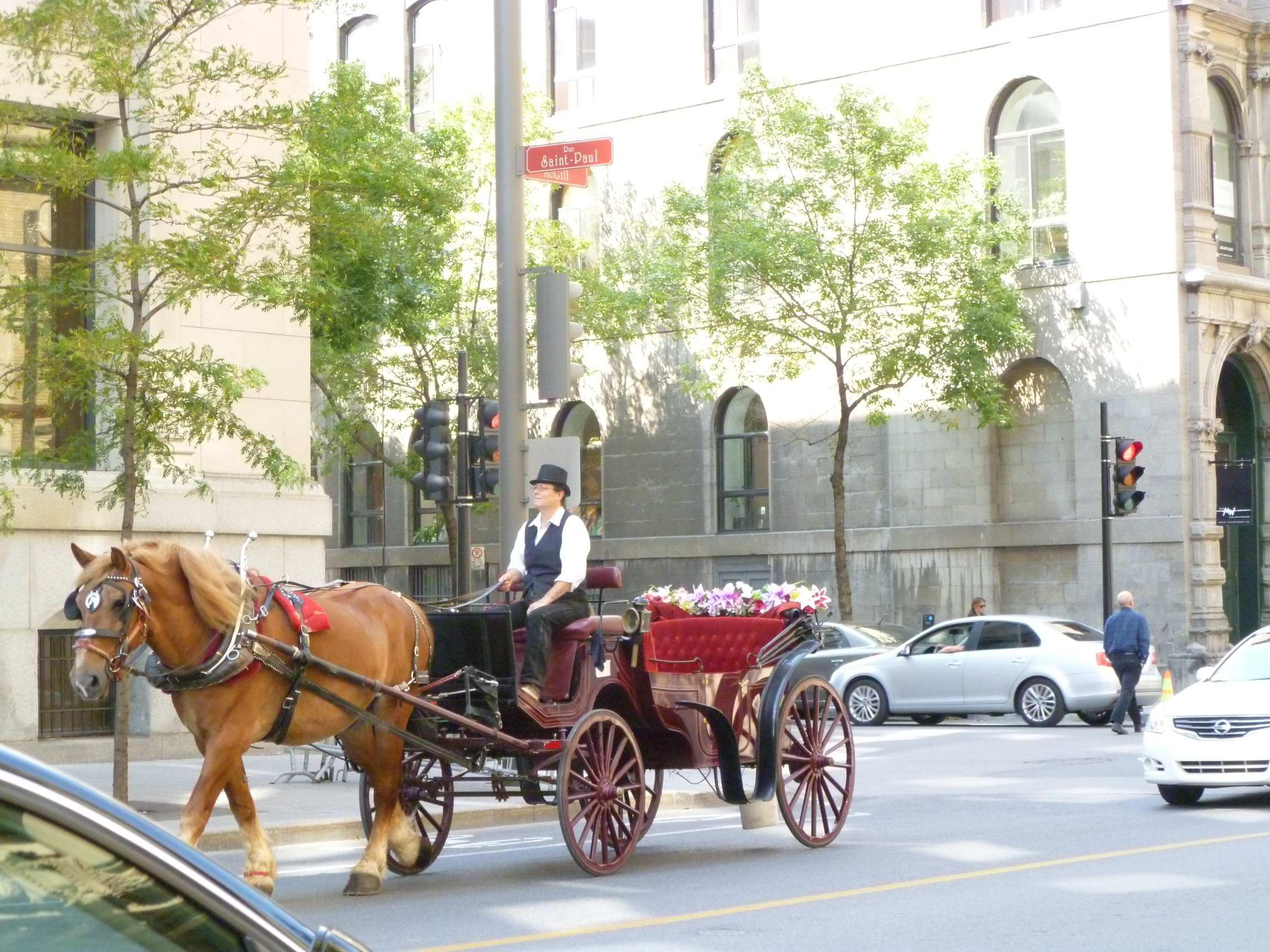 Montreal, algunas fotos a cota cero