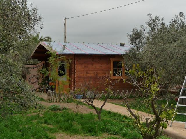 Casa con cubierta vegetal