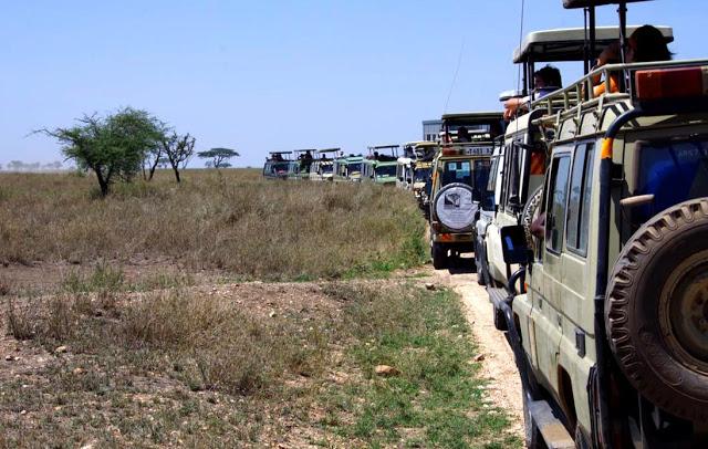 Serengueti, inmenso y masai Serengueti, inmenso y masai
