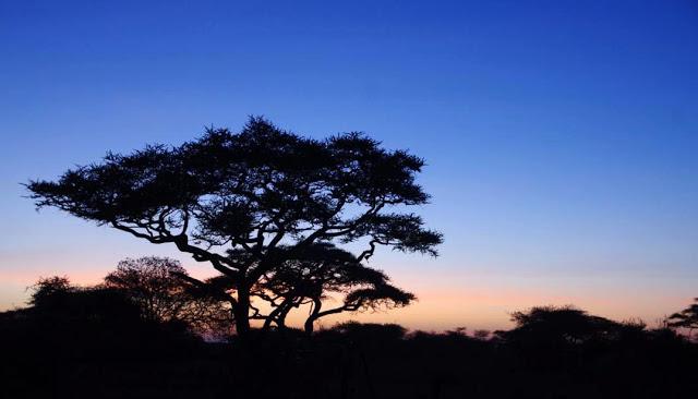 Serengueti, inmenso y masai Serengueti, inmenso y masai