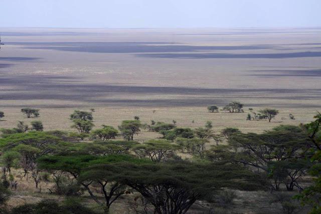 Serengueti, inmenso y masai Serengueti, inmenso y masai
