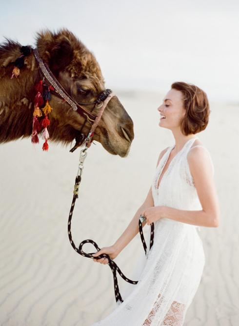 Hechizo árabe. Arabian spell. Imagen