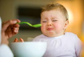Nuestros Hijos se Niegan a Comer Verduras Nuestros Hijos se Niegan a Comer Verduras