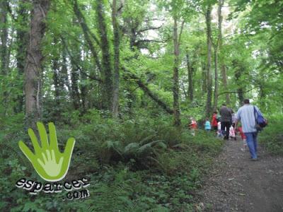 Un Plan: El Parque de la Acebera (o bosque)