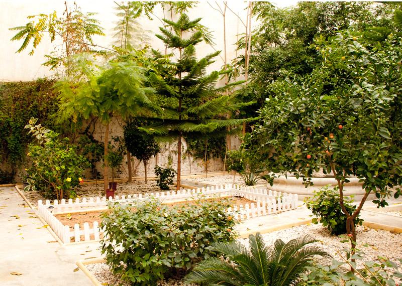 mandarina_garden_3 mandarina garden alicante