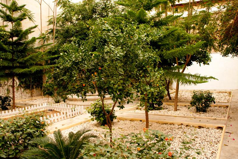 mandarina_garden_4 mandarina garden alicante