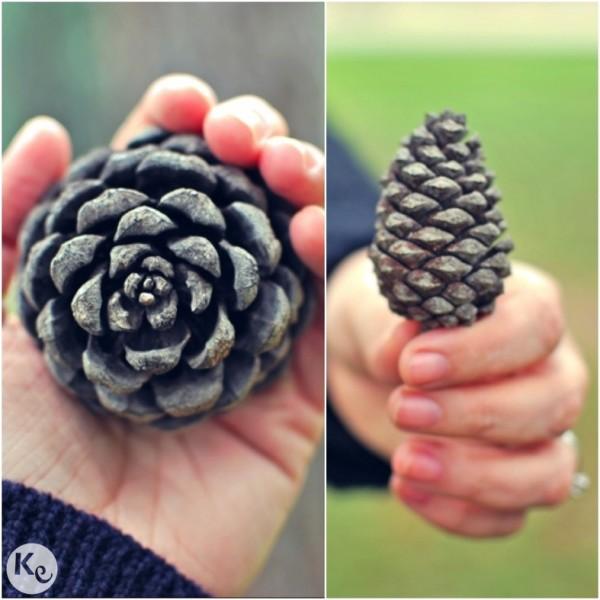 Our first date of Christmas-Collecting pine cones Our first date of Christmas-Collecting pine cones