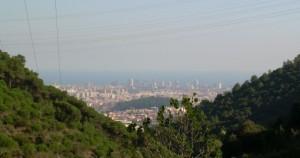 El bosque es salud, los parques naturales, calidad de vida El bosque es salud, los parques naturales, calidad de vida