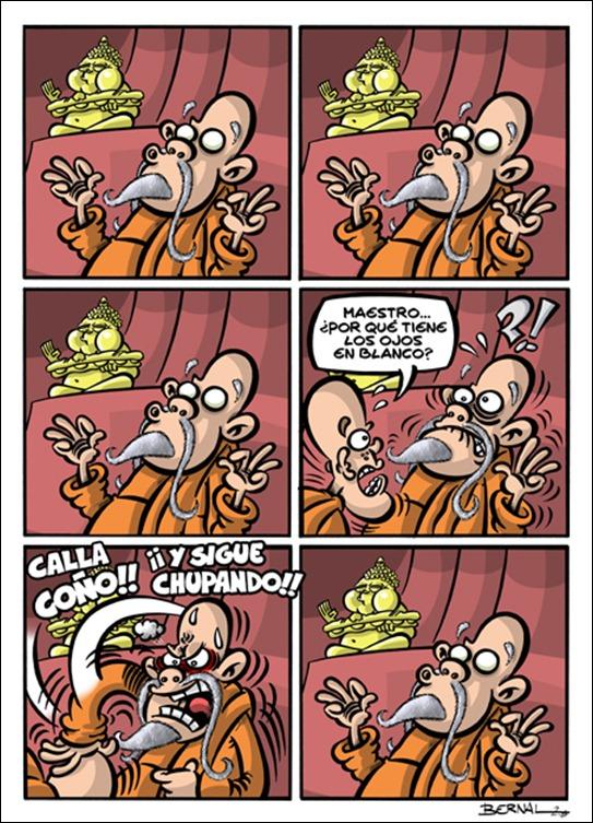 957966buda 957966buda