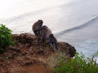 Lo que aprendí en un viaje a Indonesia