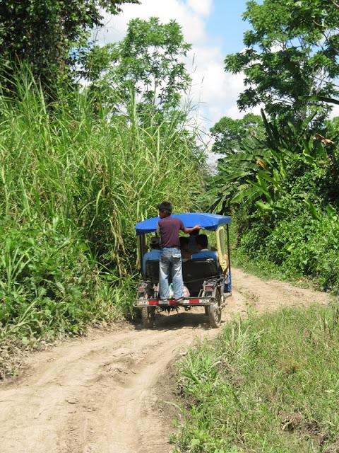 Espejo de las nubes: la laguna Tipishca en Contamana Espejo de las nubes: la laguna Tipishca en Contamana